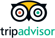 TripAdvisor owl logo